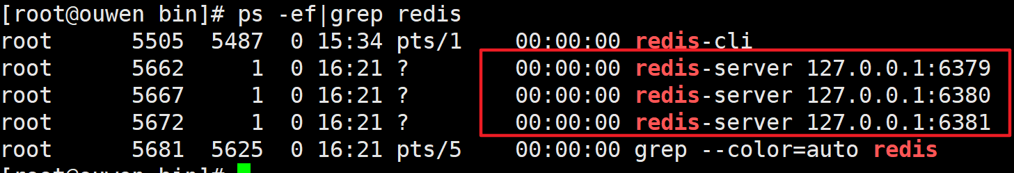 image-20210503162204439