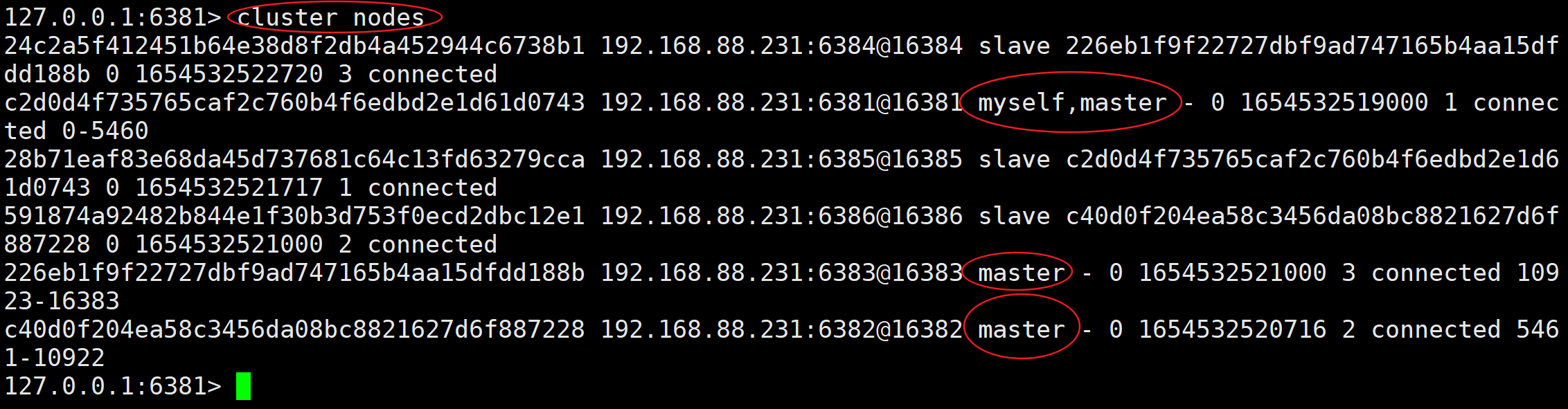 image-20220607000524306