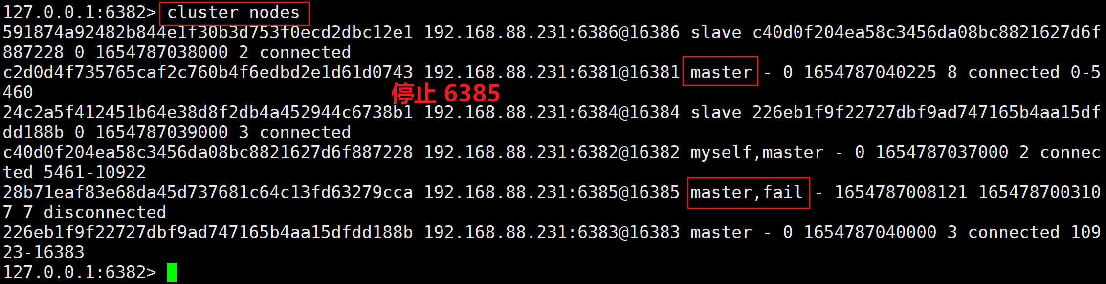 image-20220609224750744