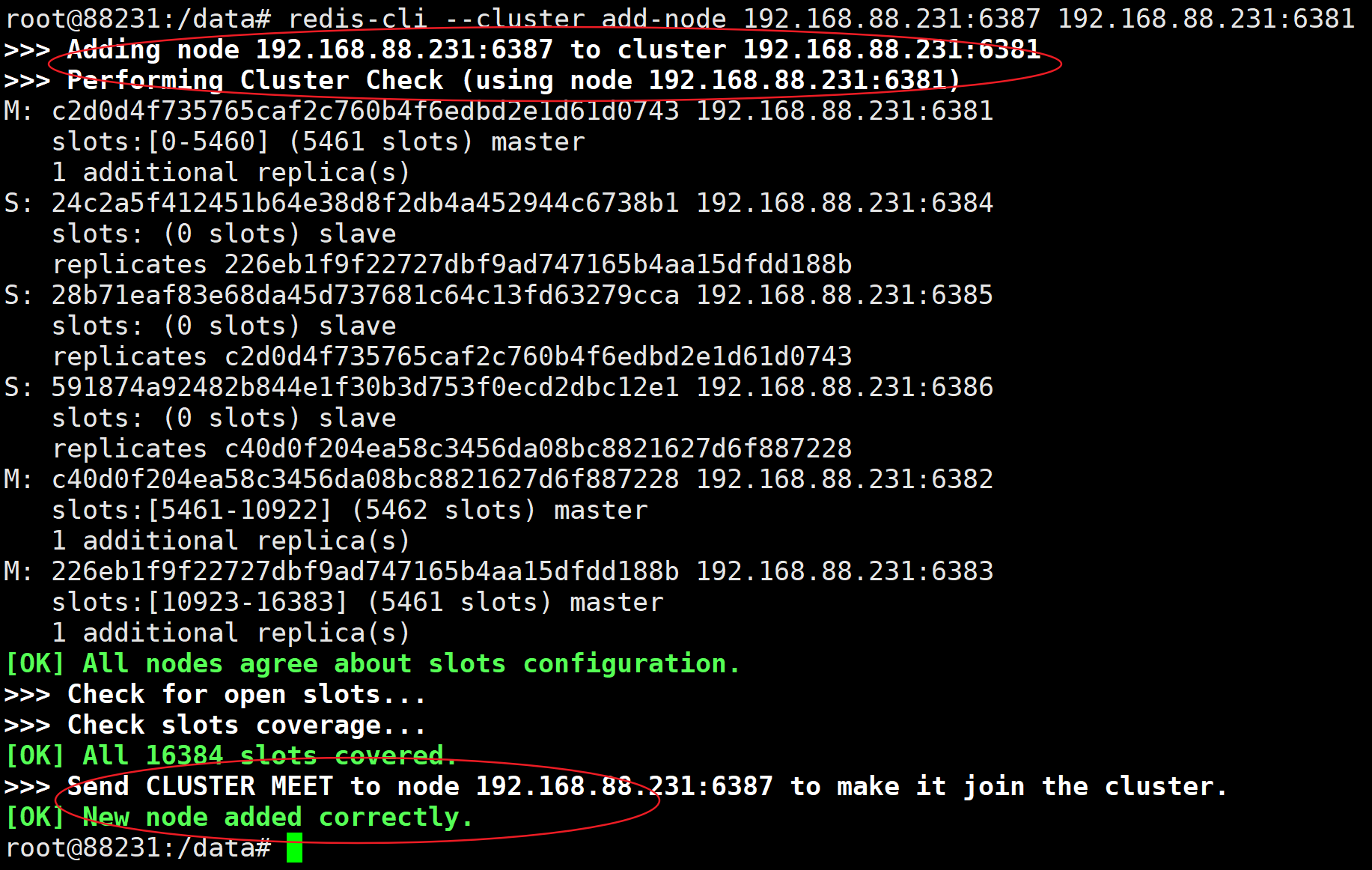 image-20220609231034192