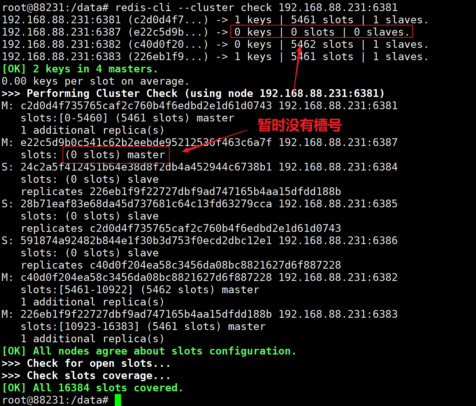 image-20220609231423755