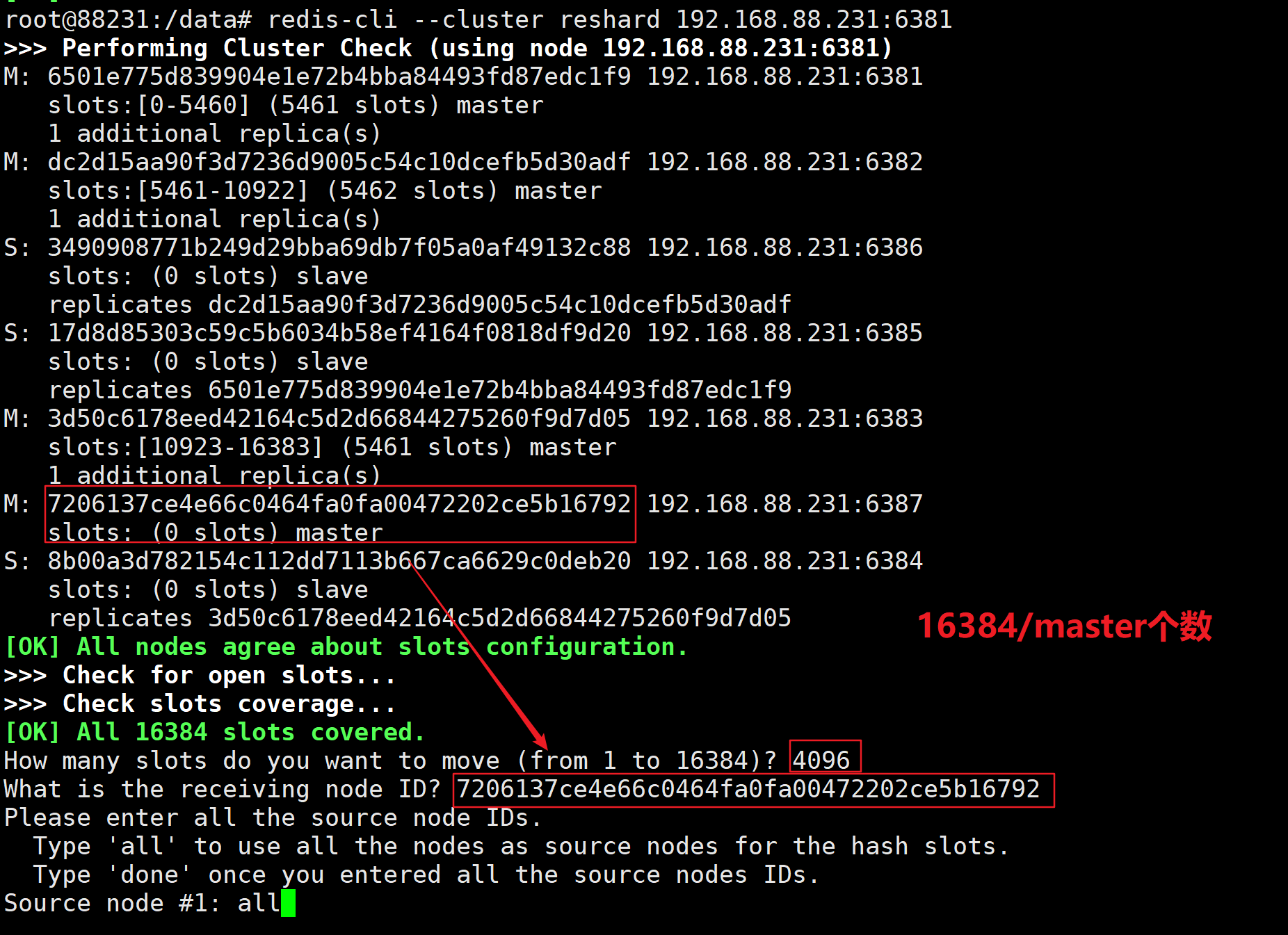 image-20220609232741435