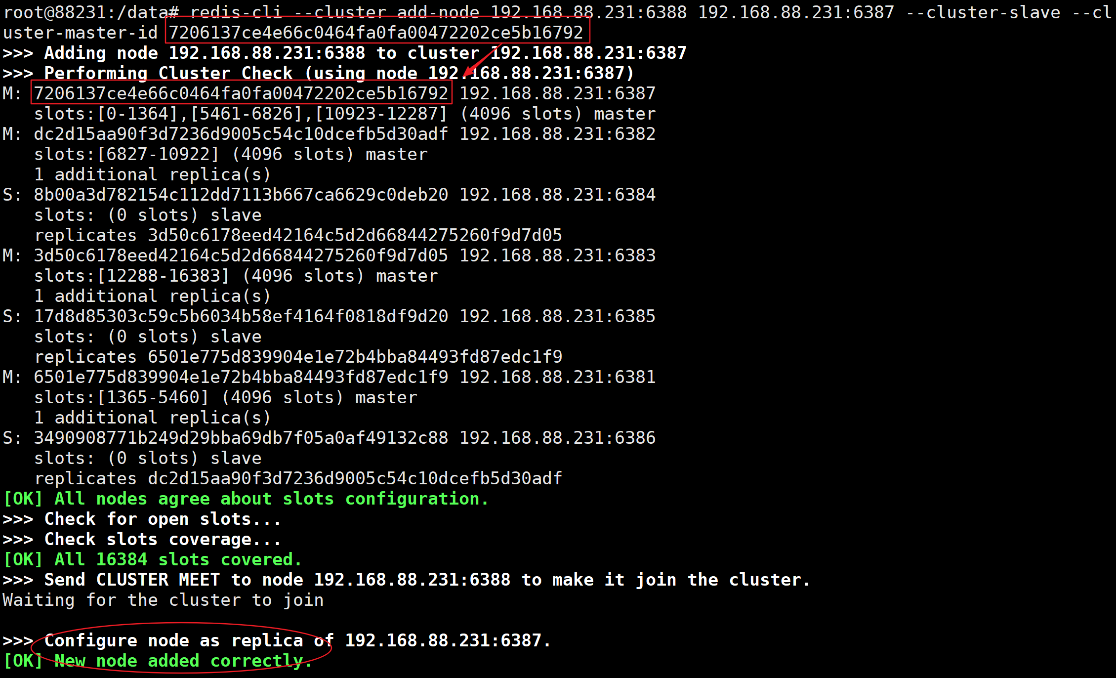 image-20220609233720722