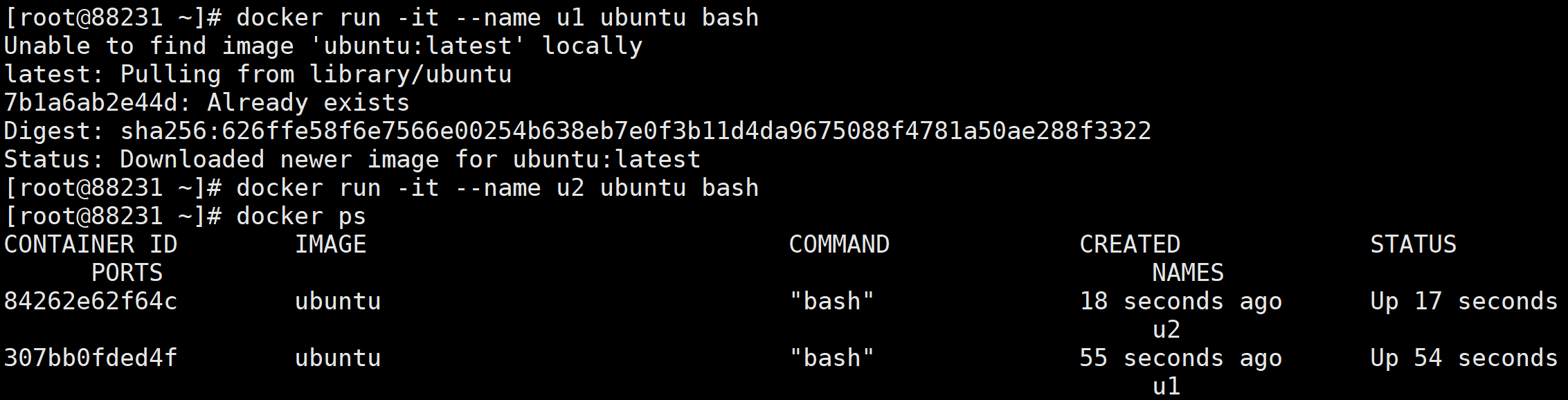 image-20220626002940194