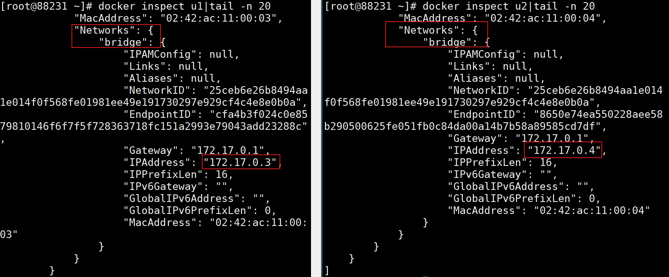 image-20220626003252589