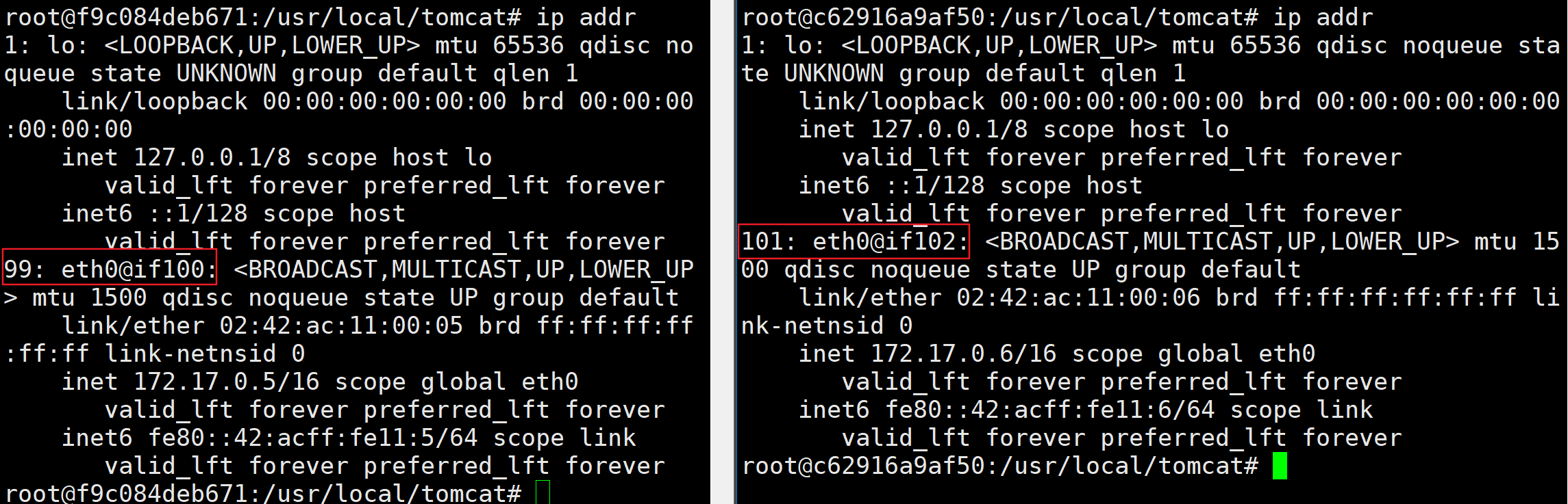 image-20220626004743381